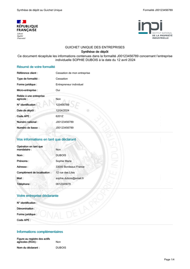 Exemple du document de synthèse INPI attendu
